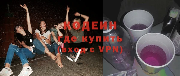 стафф Бородино