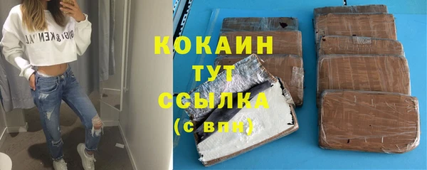 стафф Бородино