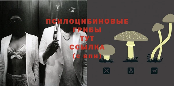 стафф Бородино